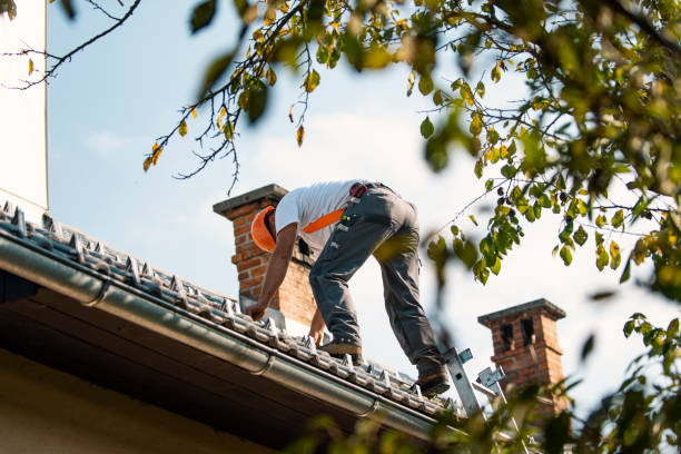 Best Roof Leak Repair  in Paw Paw Lake, MI