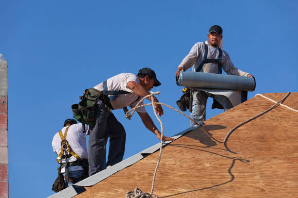 Best Roof Maintenance Services  in Paw Paw Lake, MI