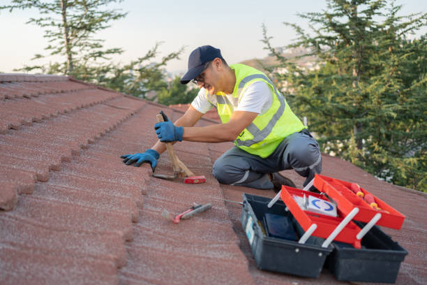 Best Residential Roofing Contractor  in Paw Paw Lake, MI