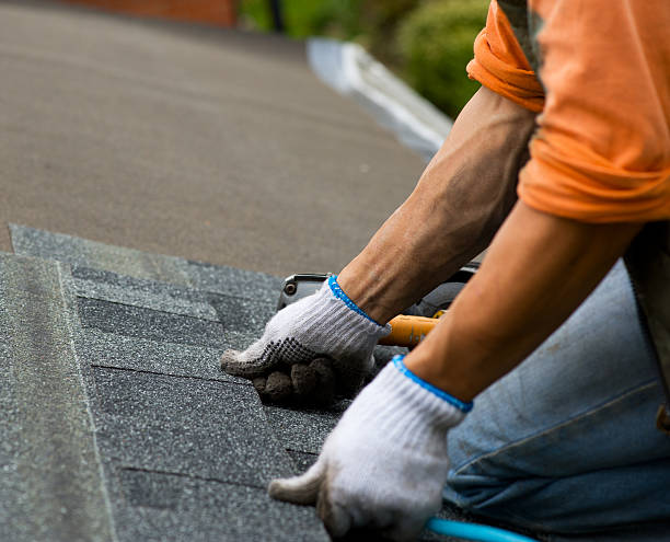 Best Roof Restoration Services  in Paw Paw Lake, MI