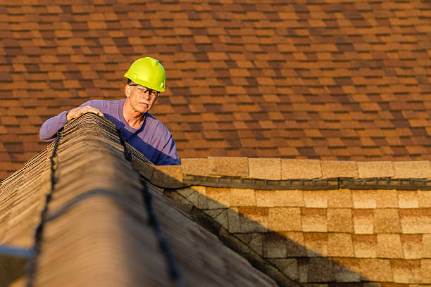 Best Local Roofing Companies  in Paw Paw Lake, MI