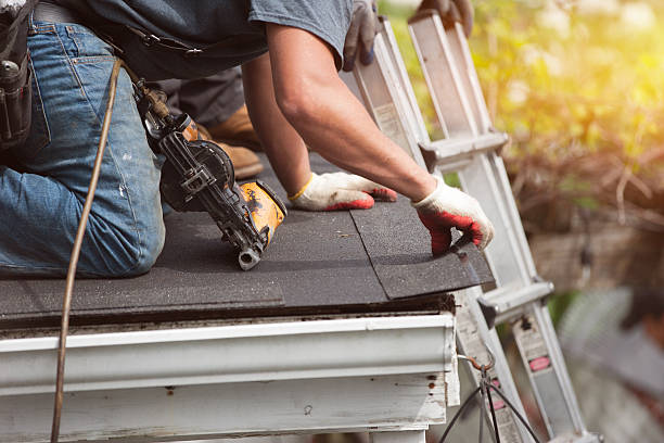 Best Roof Gutter Cleaning  in Paw Paw Lake, MI
