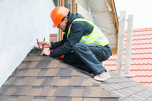 Best Flat Roof Repair Services  in Paw Paw Lake, MI